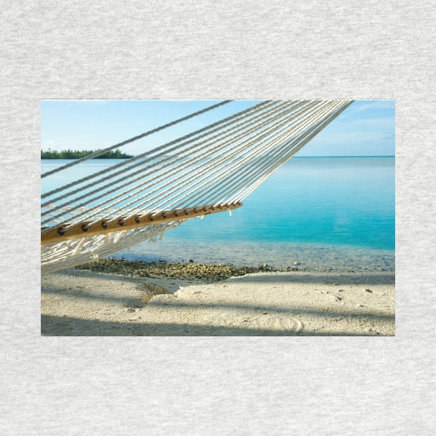 Hammock on tropical island. by brians101